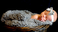 Maternity & Infant Photography