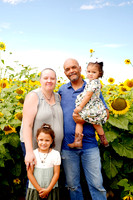 Williams Sun Flower 8-24
