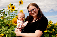 Rosenbarker Sunflower 8-24